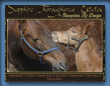 STE Stud owned by LGreenleaf